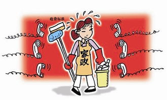 家政服務 法治保障下的規范發展之路