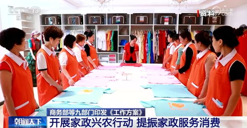 家政興農(nóng) 提振家政服務(wù)消費(fèi)，助力推進(jìn)鄉(xiāng)村全面振興